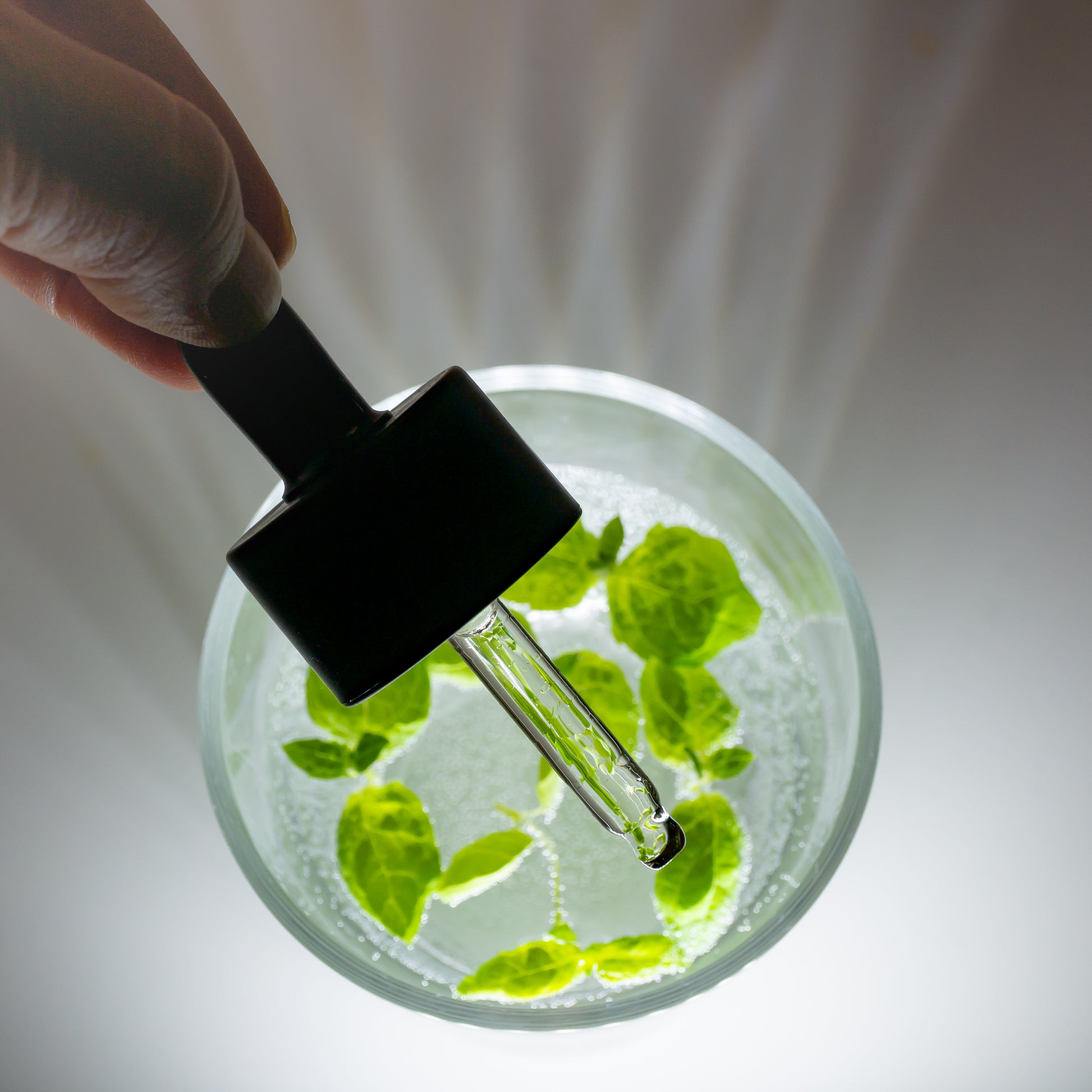 Rainforest Omega Rich Oil Serum - 30ml-4